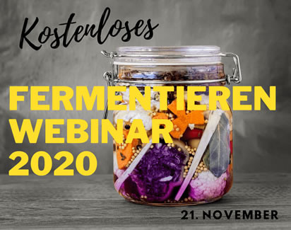 Fermentations-Webinar